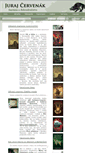 Mobile Screenshot of cervenak.sk